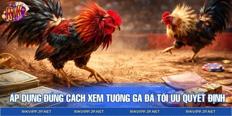 Áp dụng đúng cách xem tướng gà đá giúp tối ưu quyết định