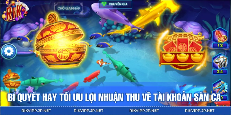 Một số bí quyết hay đem lại khoản lợi nhuận khủng cho mọi người