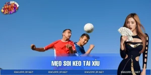 Mẹo Soi Kèo Tài Xỉu Dành Cho Người Mới Theo Bóng Trên RIKVIP