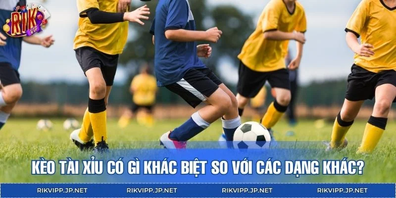 Kèo tài xỉu có gì khác biệt so với các dạng khác?