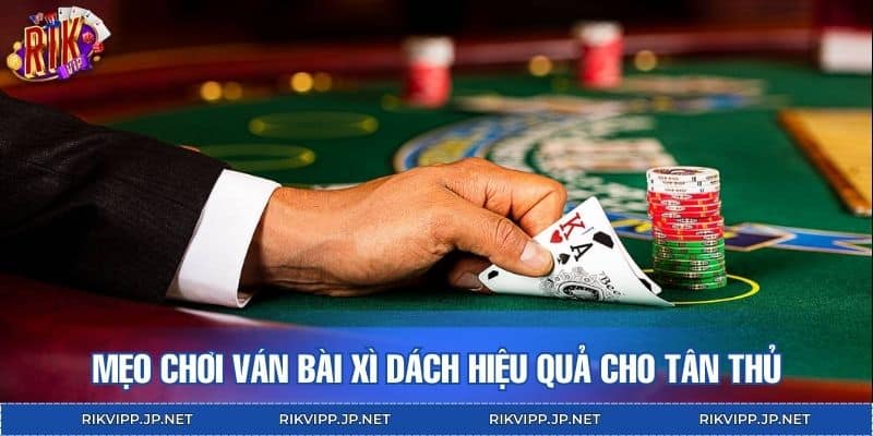Mẹo chơi ván bài xì dách hiệu quả cho tân thủ