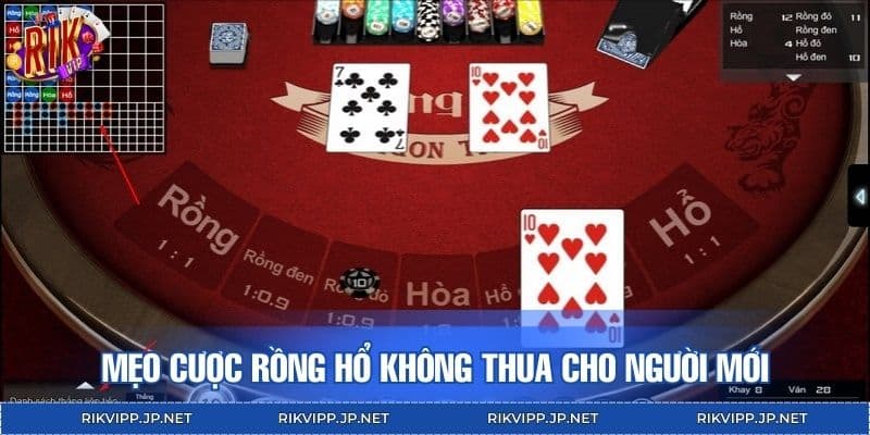 Mẹo cược Rồng Hổ không thua cho người mới